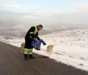 SOKAK HAYVANLARI - Sokak Hayvanlarına Mama Desteği