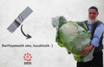 İTALYAN - 120 Bin Dolarlık Muza 'Lahanalı' Gönderme