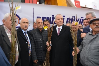 Başkan Zolan Açıklaması 'Denizli'nin Türkiye'de En Çok Ceviz Üreten İl Sıralamasında Olmasını İstiyoruz'