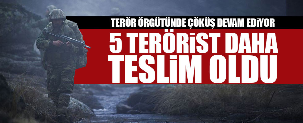 PKK'dan kaçan 5 terörist teslim oldu