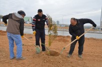 AHİ EVRAN ÜNİVERSİTESİ - KAEÜ'sinde Ağaçlandırma Çalışmaları