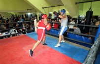 SEVINDIK - Adana'da Okullararası Genç Erkekler B Boks İl Birinciliği