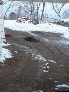 Ağrı'da Operasyonda Ölü Ele Geçirilen Teröristlerin Görüntüleri Ortaya Çıktı