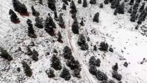 YARPUZ - Antalya'nın Alacabel Mevkisinde Kar Yağışı Etkili Oldu