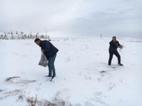 EDREMIT BELEDIYESI - Edremit'te Sokak Ve Yaban Hayvanları İçin Doğaya Yem Bırakıldı