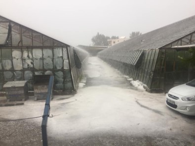 Kaş'ta Fındık Büyüklüğündeki Dolu Yağışı, Bazı Seralara Zarar Verdi