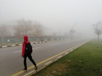 Manisa'da Sis Etkili Oluyor