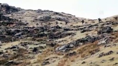 PKK'lı Teröristlerin Kullandığı 9 Barınak Ve Sığınak İmha Edildi