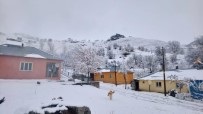 Tunceli'de Kar 71 Köy Yolunu Ulaşıma Kapattı Haberi