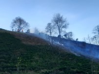 YEŞILCE - Artvin'de Çaylık Alanda Yangın Çıktı