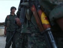AŞIRET - Esed rejimi ve YPG/PKK arasında birleşme pazarlığı sürüyor