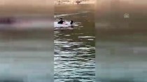 FIRAT NEHRİ - Fırat Nehri'ne Devrilen Kamyonetin Sürücüsünün Cesedi Bulundu