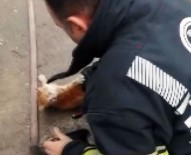 BENZIN - İtfaiye Ekiplerinden Yavru Kedi Kurtarma Operasyonu