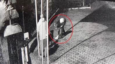 Boğulma Tehlikesi Geçiren Köpeği Kalp Masajı Kurtardı