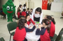 BIYOLOJI - Küçük Öğrenciler Atıklarla İlgili Bilgilendirildi