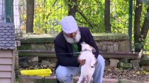 KALP MASAJI - Nefessiz Kalan Köpeği Kalp Masajıyla Hayata Döndürdü