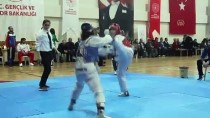ALI PARTAL - Silivri'de Şehitler Anısına Tekvando Turnuvası Düzenlendi
