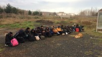 SAĞLIK RAPORU - Tekirdağ'da 26 Kaçak Göçmen Yakalandı