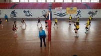 KADIN VOLEYBOL TAKIMI - Van Kadın Voleybol Takımı Mardin'den 3 Puanla Döndü