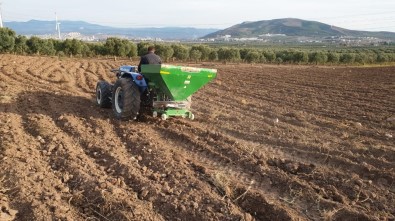 Akhisar'da Yerli Tohumlar Toprakla Buluşuyor