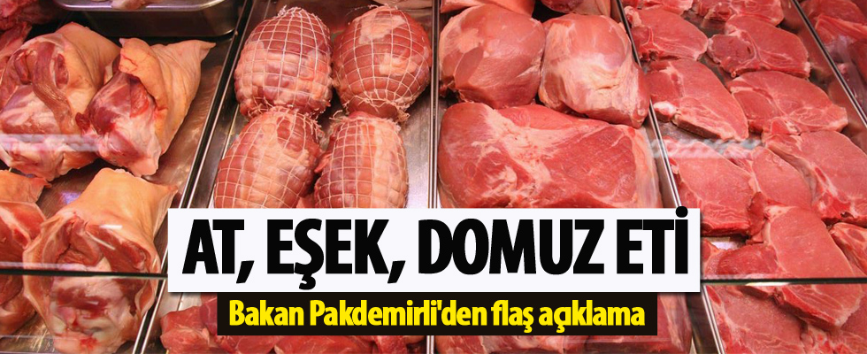Bakan Pakdemirli'den at eti ithalatı sorusuna cevap
