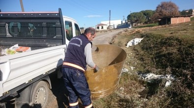 Gebze'nin Kırsal Kesimlerinde Mıntıka Temizliği