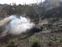 Hatay'da Haşereyle Mücadele Devam Ediyor