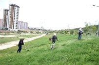 ONARIM ÇALIŞMASI - Toroslar'da Yeşil Alanlar Güzelleşiyor