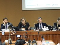 ZEHRA ZÜMRÜT SELÇUK - Başkan Şahin Cenevre'de Mülteci Meselesini Anlattı