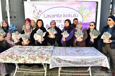 Büyükşehir Doğancılar'a 32 Bin Lavanta Fidesi Dağıttı