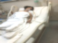 ZEHRA ZÜMRÜT SELÇUK - Kadına Yönelik Şiddetin Önlenmesi İçin Ülke Genelinde Seferberlik Başlatıldı