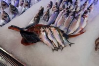 KIRLANGIÇ - Kırlangıç Balığı 50 Liraya Düştü