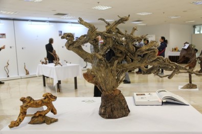 Ağaç Kökleri Maltepe'de Heykele Dönüştü