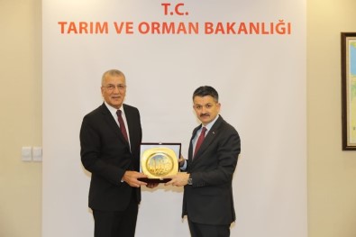 Ankara'ya 5 Dosyayla Giden Tarhan, Destek Sözüyle Döndü