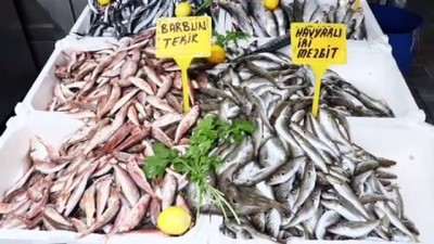 Hamsi Erken Göç Etti Balıkçı Umudunu Çaçaya Bağladı