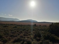 BAKANLIK - İris Gölü'nde Açılan Kanallar Kapatılacak