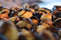 KAYIT DIŞI - Kabzımal Ve Satıcılardan Çin Kestanesine 'Veto'