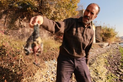 (Özel) 20 Tane Güvercinini Telef Eden Atmaca İle Sohbeti Dikkat Çekti