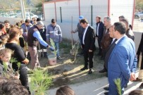 SERINYOL - Samandağ'da Okul Bahçeleri Ağaçlandırılıyor