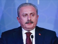 DAĞLIK KARABAĞ - TBMM Başkanı Şentop: ABD Senatosunun Ermeni kararı siyasidir