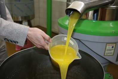 Zeytinyağında Ege'ye Rakip Eskişehir'den Çıktı