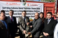 GÖKPıNAR - Artuklu'da Çiftçiye 46 Bin Fıstık, Badem Ve Ceviz Fidanı Dağıtıldı