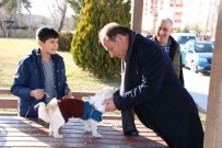 HÜSEYİN OPRUKÇU - Ereğli Belediyesi Sokak Hayvanlarına Kucak Açıyor