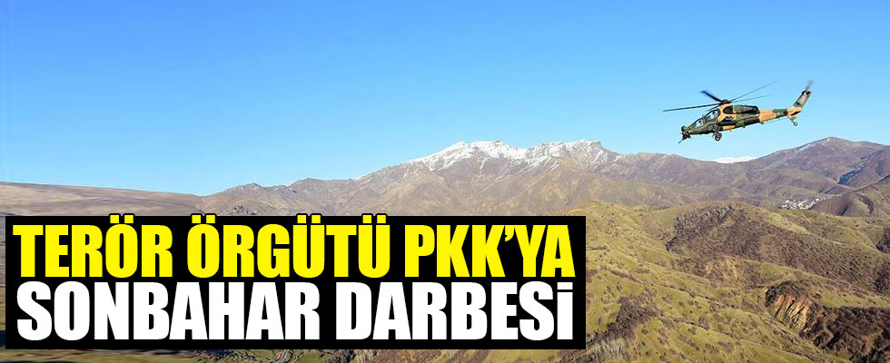 Terör örgütü YPG/PKK'ya sonbahar darbesi