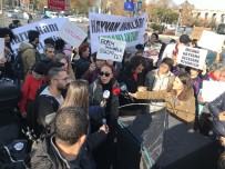 PROTESTO - İBB Önünde Fayton Eylemi