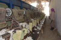 OKTAY ERDOĞAN - Çırçır Fabrikasında 'Beyaz Altın' Mesaisi