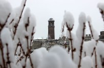 YAĞAN - Erzurum'da Seyrine Doyumsuz Kar Manzaraları