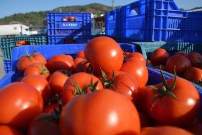 İstanbul'un zam şampiyonu
