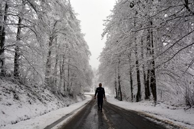 Ordu'da Kar Yağışı