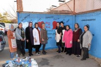 GÜLPıNAR - Otopark Duvarı Tabloya Dönüştü
